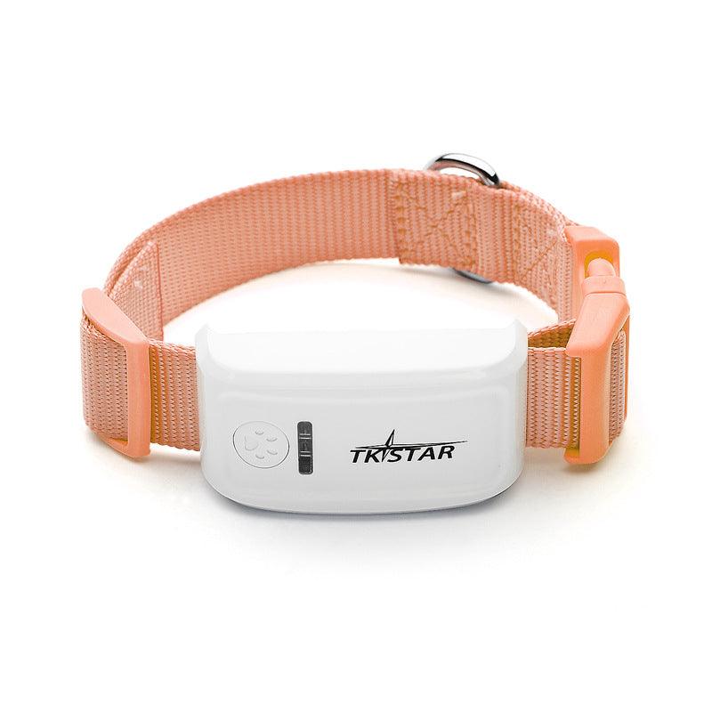 Never Lose Your Adventure Buddy - Real-Time GPS Pet Tracker
